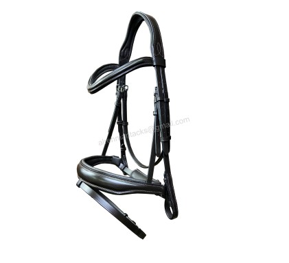 Leather Bridle 